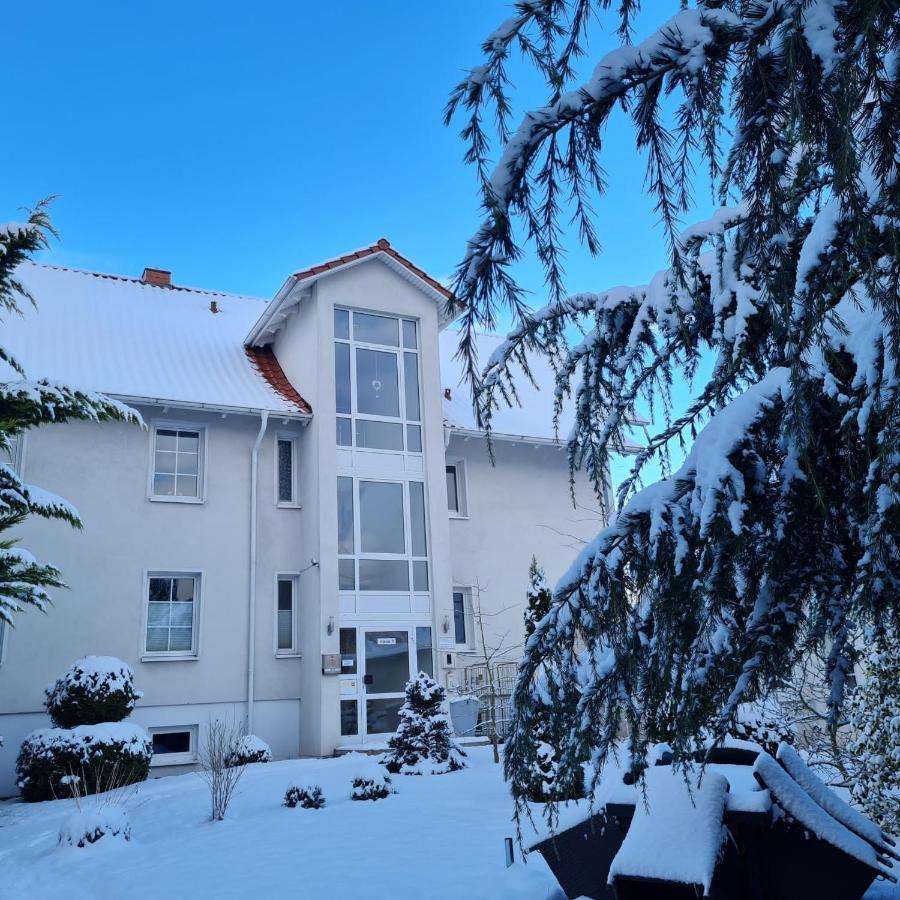 Pension Bergen Bergen Auf Rugen Ngoại thất bức ảnh